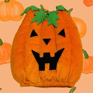 Pumpkin Costume Halloween